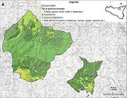 Tipi di gestione forestale ASSP